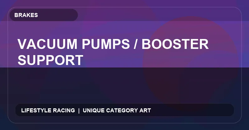 Vacuum Pumps / Booster Support
